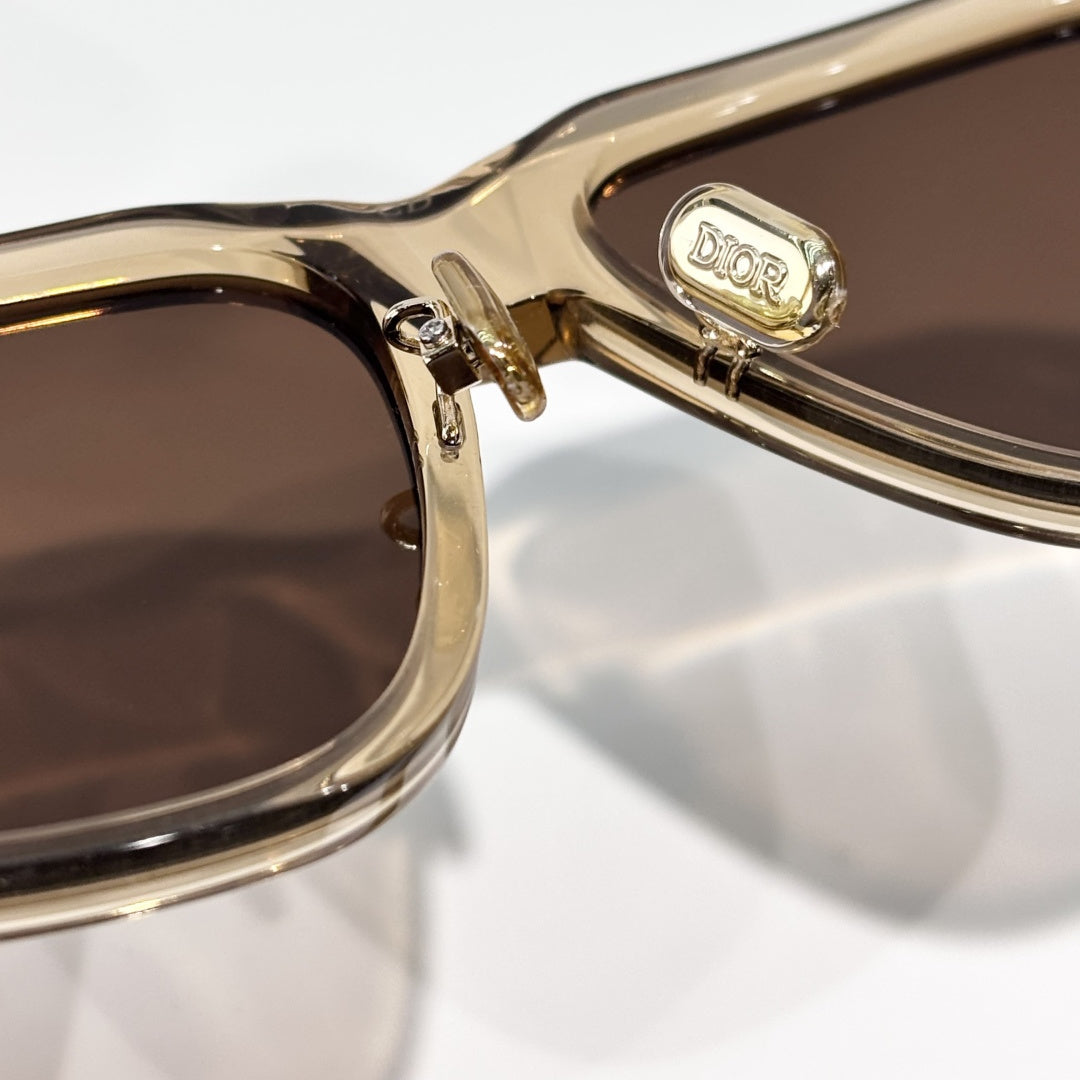 D**R Oversized Square Acetate Sunglasses | Transparent Champagne Frame, Gold CD Rivet, Gold Metal Tip, Flat Brown Lenses