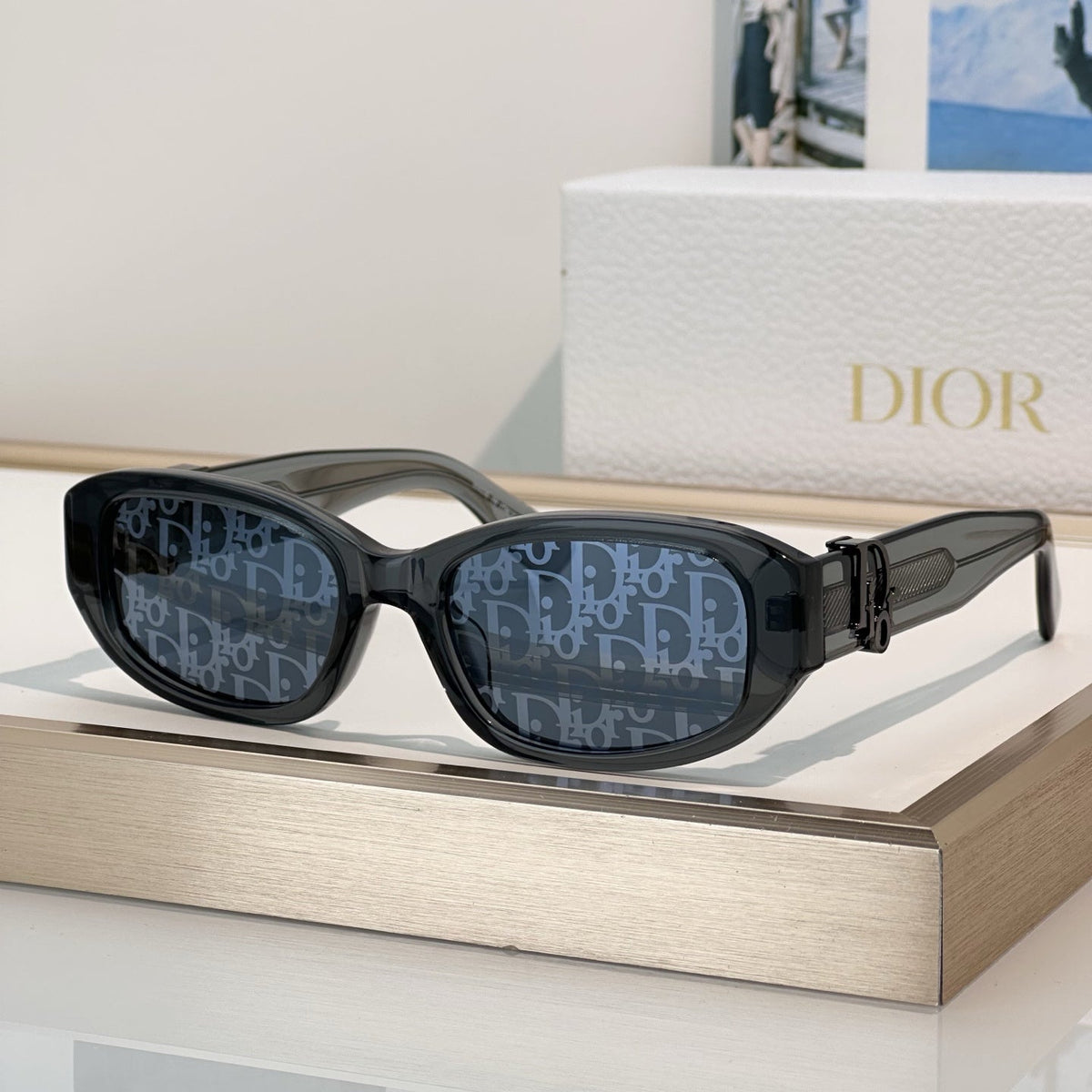 D**R Slim Oval Sunglasses with Smoky Transparent Grey Frame, CD Oblique Monogram Print Lenses & Gunmetal Hardware