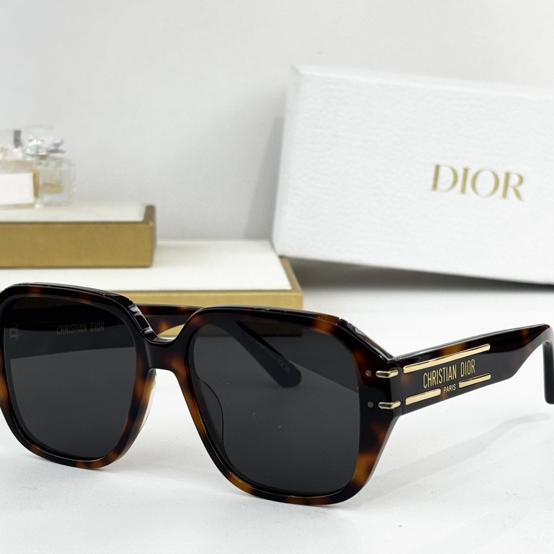 D**R Oversized Square Sunglasses | Thick Acetate Full Frame, Christian Dior Paris Gold Temple Plaque, Flat Dark Lenses | 6 Colors