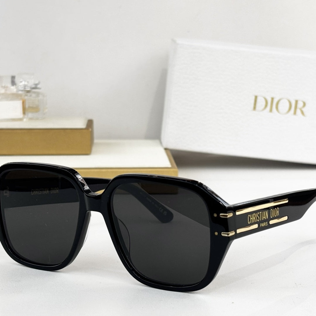 D**R Oversized Square Sunglasses | Thick Acetate Full Frame, Christian Dior Paris Gold Temple Plaque, Flat Dark Lenses | 6 Colors