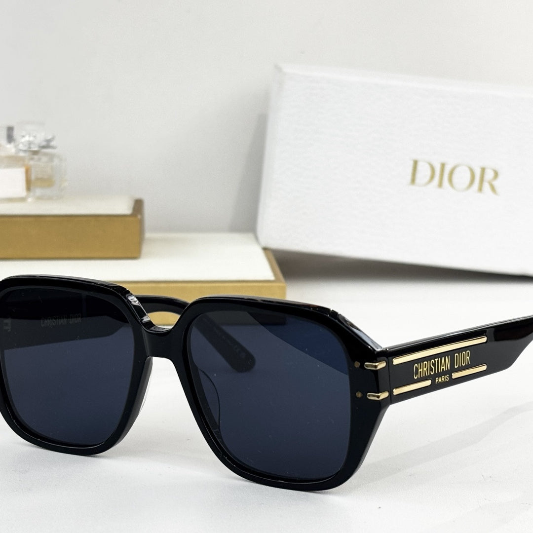 D**R Oversized Square Sunglasses | Thick Acetate Full Frame, Christian Dior Paris Gold Temple Plaque, Flat Dark Lenses | 6 Colors