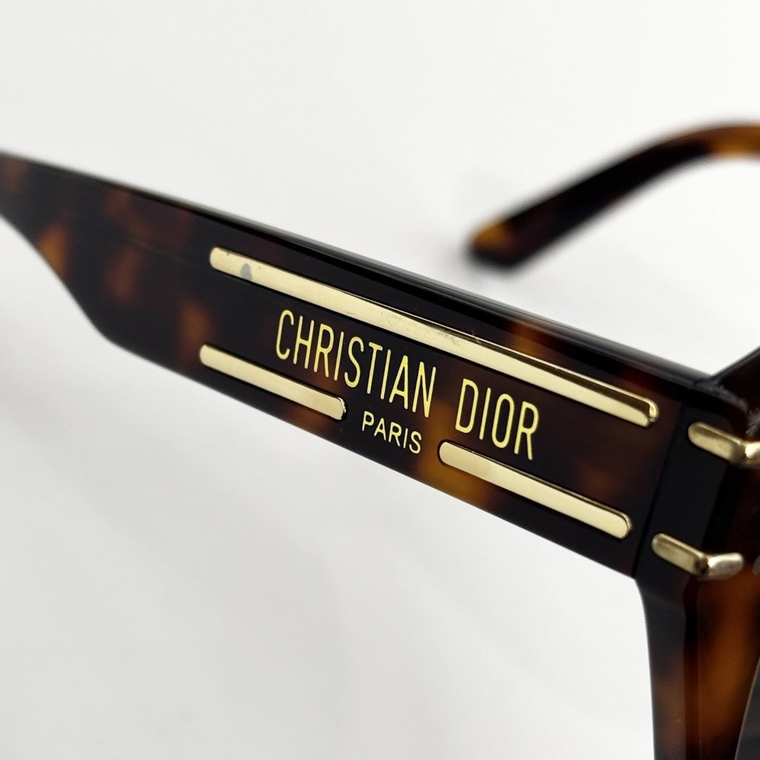 D**R Oversized Square Sunglasses | Thick Acetate Full Frame, Christian Dior Paris Gold Temple Plaque, Flat Dark Lenses | 6 Colors